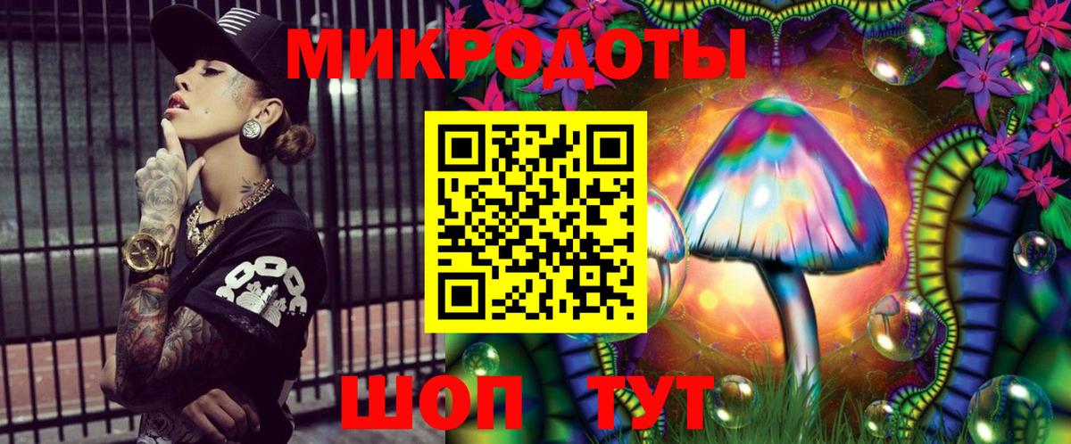 Псилоцибиновые грибы MAGIC MUSHROOMS  Псилоцибиновые грибы MAGIC MUSHROOMS  Вход с VPN  Магадан 